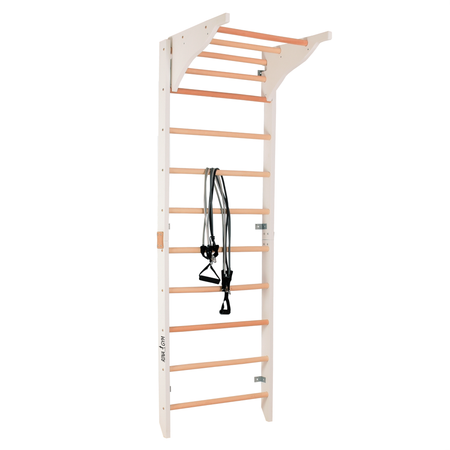 Drabinka gimnastyczna PRO PURE RINAGYM – widok ogólny z drążkiem i poręczami