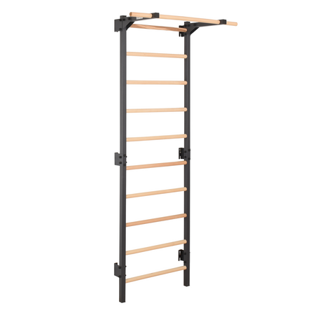 Metalowa drabinka gimnastyczna STEEL PURE z drążkiem – grafit | RINAGYM